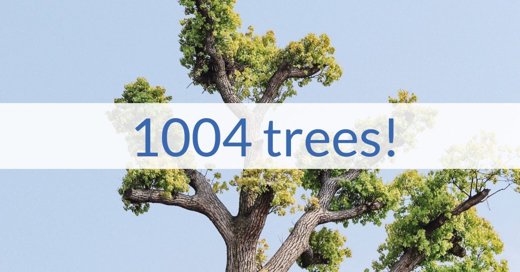 1004 trees